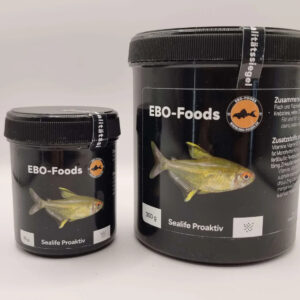 Find premium fish food at Aquarium Haven today.