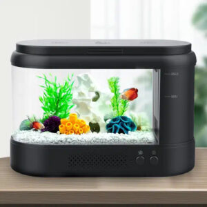 Get expert fish tank tips at Aquarium Haven