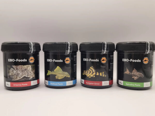 EBO 125gm Paste Bundle