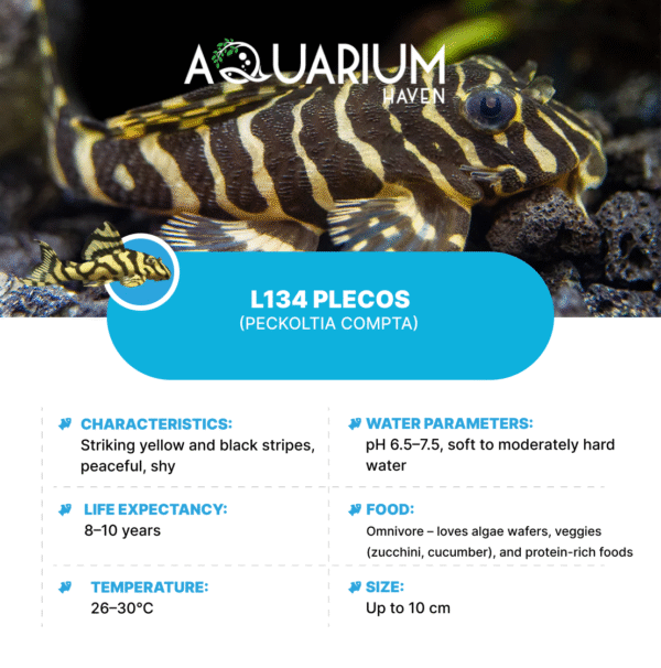 L134 Plecos - Image 2