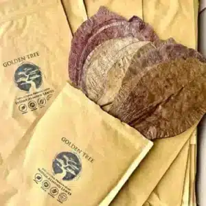 Accessories - Hardscape 6 Golden Tree - Premium Indian Almond Leaves