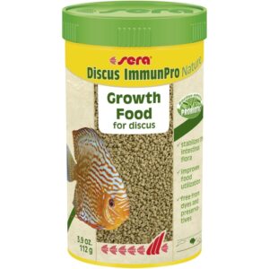 Best-selling tropical fish at Aquarium Haven