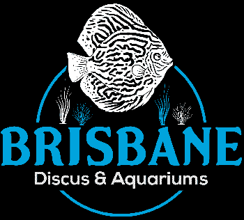 Brisbane Discus Fish & Aquariums