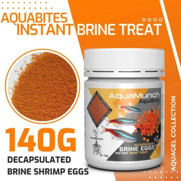 Aquarium Haven’s best aquarium protein skimmers