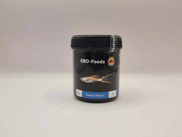 Aquarium Haven – best fish for tanks