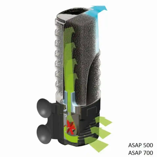 113612_113613_ASAP_500_700_live_1