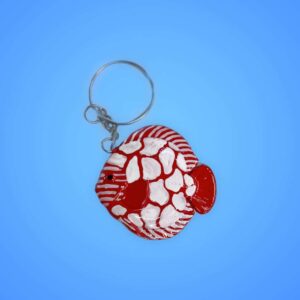 Top-quality discus fish at Aquarium Haven
