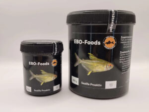 Find premium fish food at Aquarium Haven today.