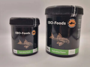 Buy effective fish disease treatments at Aquarium Haven