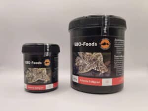 Aquarium Haven’s premium automatic fish feeders