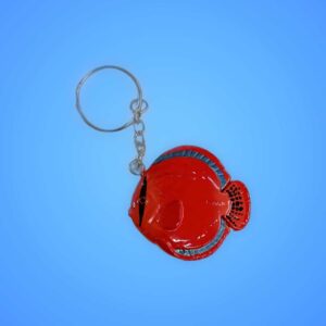 Colourful fish keychain with Aquarium Haven logo.