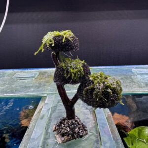 Aquarium Haven premium fish tank accessories