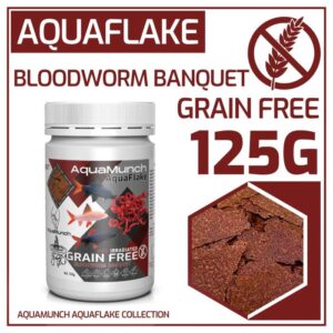 Aquarium Haven’s handpicked freshwater fish collection