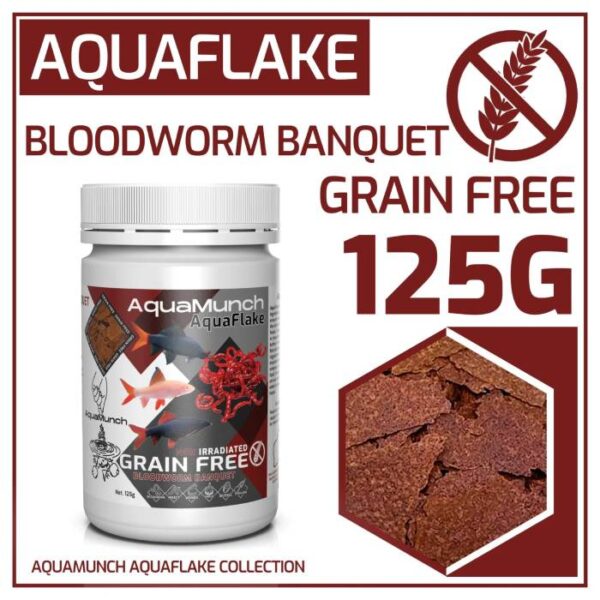 Aquarium Haven’s handpicked freshwater fish collection