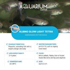 Aquarium Haven’s premium fish breeding supplies