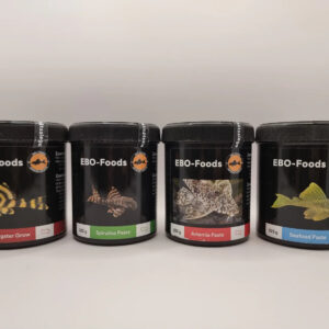 EBO 325gm Paste Bundle