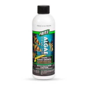 Fritz Algae Clean Out 237ml