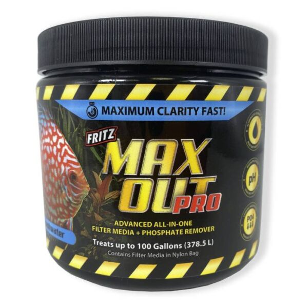 Fritz Max Out Pro