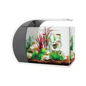 Aquarium Haven offers top fish tank filters