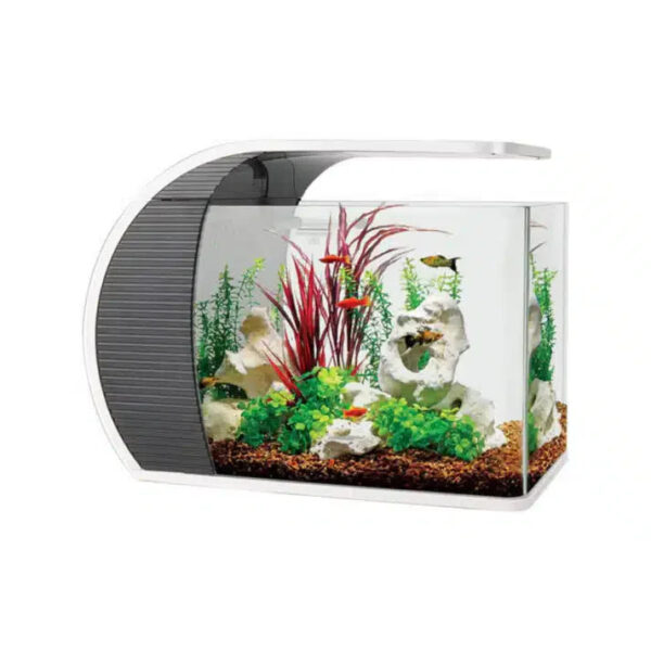 Aquarium Haven offers top fish tank filters