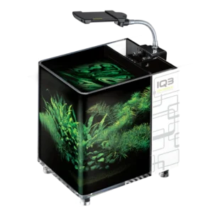 DYMAX IQ3 Mini Acrylic Aquarium