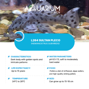 L264 Sultan Pleco