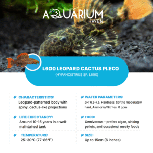 L600 Leopard Cactus Pleco