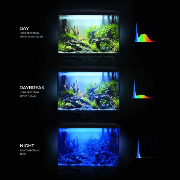 Leddy_XL_lightening_modes_122883_122866-scaled