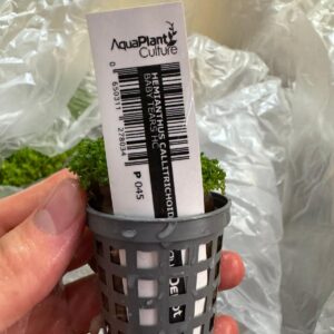 Aquarium Haven’s variety of aquarium plant fertilisers