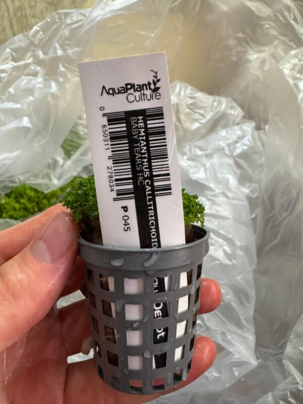 Aquarium Haven’s variety of aquarium plant fertilisers