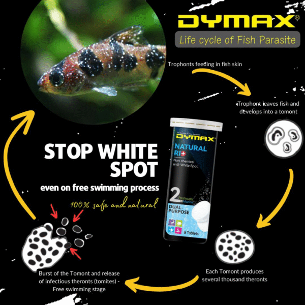 Dymax Natural Rid (8 Tablet/Box) - Image 3