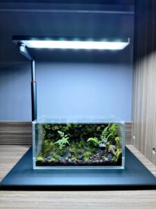 LEDSTAR WRGB Nano Smart Light (Dark Grey)
