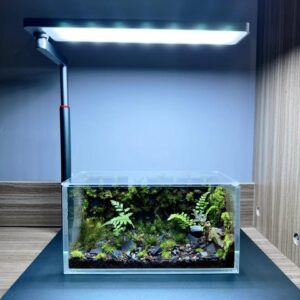 LEDSTAR WRGB Nano Smart Light (Dark Grey)