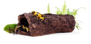 Aquavitro Ceramic Hides